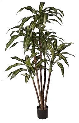 floradec20260521174731407011