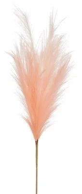 floradec20260521175025407408