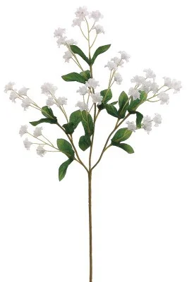 floradec20260521175234407685