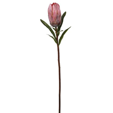 floradec20260521175752408356