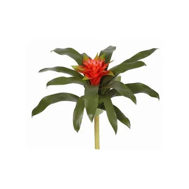 floradec20260521175804408379