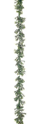 floradec20260521180009408618